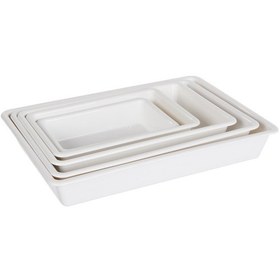 Resim Borox Laboratuvar Tepsisi Plastik Tepsi 5 Adet-Set 