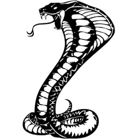 Resim Sinirli Kobra Yılanı - Araç, Oto, Laptop, Duvar Uyumlu Sticker 20 30 Cm 