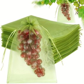 Resim 50 adet yeşil file çanta 11.99*8.99 cm, polyester meyve koruma ağı, üzüm, mango ve sebze bahçeleri için, haşere bariyeri, elektrik gerektirmez, meyve ağacı ağı 