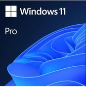 Resim Microsoft Ms Windows 11 Pro Fqc-10556 64Bıt Tr (Oem) (566557576) 