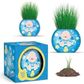 Resim Grains Global Bebek Temalı Çim Adam 6'lı Set - Çocuklar Için Eğitici ve Eğlenceli Bitki Yetiştirme Kiti 