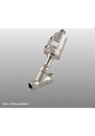 Resim Expflex 1'' 304 L Paslanmaz Pistonlu Vana Nk 2/2 Yjzf-25 