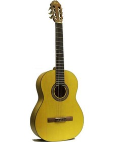 Resim Lea Cg01 Nat Klasik Gitar + Taşıma Çantası 