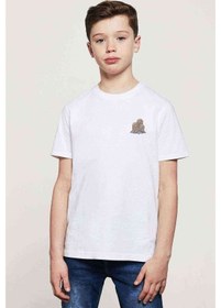 Resim Pokemon Avengermon Dugtrio Baskılı Unisex Çocuk Beyaz T-Shirt 