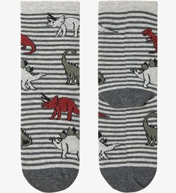Resim Erkek Çocuk T-rex Dinozor Desenli 3'lü Soket Çorap - Çok Renkli / 27-30 