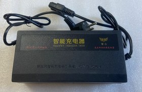 Resim E-BIKE Charger 48V50AH 