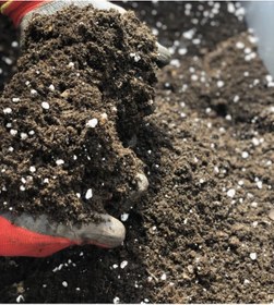 Resim Gardenbox Bitki Toprağı 3 LT Özel Karışımlı Torf-Perlit-Çam Toprağı-Gübre Karışımlı-(İç Mekan / Çiçekli Bodur) 