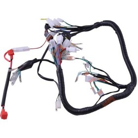 Resim Kuba Çita 100 Elektrik Tesisatı Asya Manyetik Ateşleme 