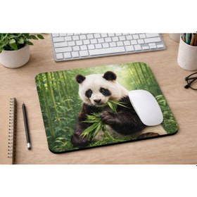 Resim Panda Desenli Mousepad 21x17,5 Cm Kaymaz Tabanlı Düz Mouse Pad Ofis & Ev Kullanım 