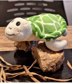 Resim Caretta Caretta Kaplumbağa Küçük Yeşil 