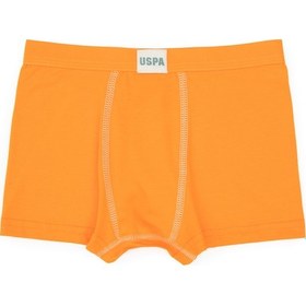 Resim U.S. Polo Assn. Erkek Çocuk 3'lü Boxer Takım 50319395-VR051 