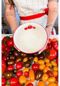 Resim Pomodoro Stoneware 4'lü Çorba Kasesi Seti 15 Cm Renkli 