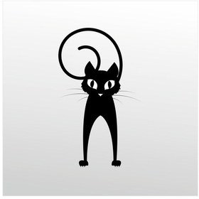 Resim Folyo Sticker Şaşkın Kedi 70cm Uzunluk Siyah 