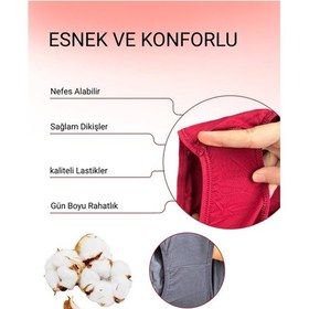 Resim Alya Underwear Kadın Pamuklu Hipster - Slip Külot 5 Farklı Renk 1 Pakette P24 
