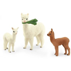Resim Schleich Alpaka Seti 42544 
