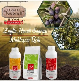 Resim Zeytin Ağaçlarında Hasat Sonrası Kış Uygulaması Seti 