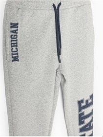 Resim Koton Jogger Eşofman Altı Beli Bağlamalı Baskı Detaylı Cepli Şardonlu Gri 5wkb40056tk Gri 