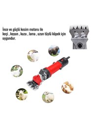 Resim EKİNLER Ekinler Koyun Keçi Kırkma Makinesi (Kırmızı) EEA151 