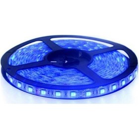 Resim Elektronikport-Şerit Led Mavi 60 Led 5M 