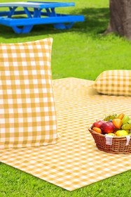 Resim AfgTech Piknik Seti 170x170cm Piti Kareli Piknik Örtüsü, 40x40cm 2 Adet Minder Sarı 