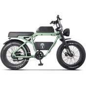 Resim Ape Ryder Bonobo Elektrikli Bisiklet 