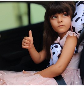 Resim Kargo Bedava Tosbai Araba Boyun Yastığı Ve Emniyet Kemeri Kılıfı 