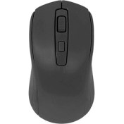 Resim Raynox RX-M202 Mouse - Raynox - Siyah 
