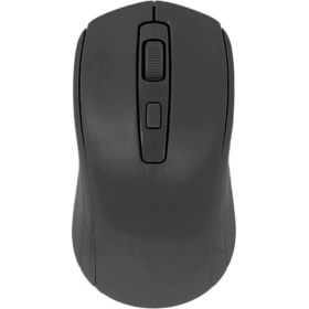 Resim Raynox RX-M202 Mouse - Raynox - Siyah 