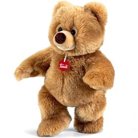 Resim Nessiworld Trudi Ettore Peluş Ayı 40 cm 