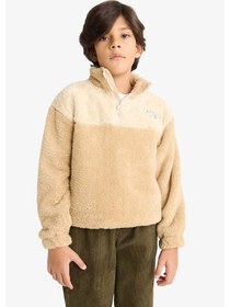Resim Defacto Erkek Çocuk Fermuarlı Yaka Nakışlı Pelüş Sweatshirt G2946a825wnbg360 Bej 