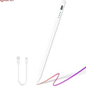 Resim Daytona 2260 Apple Uyumlu iOS /android/windows Dokunmatik Ekran Için Type C Şarj Kablolu Stylus Dokunmatik Yazı Ve Çizim Kalemi 