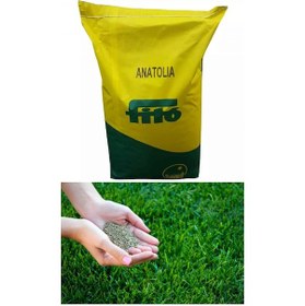 Resim Fito Anatolia Çim Tohumu 1000 GR 