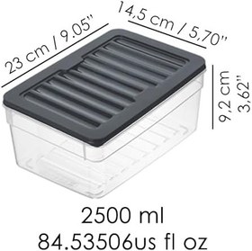 Resim 2'li Derin Buzdolabı Organizer Set Düzenleyici Saklama Kabı Mikrodalga Difriz Kabı 2500ml Antrasit 