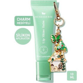 Resim Parlatıcı, Dolgunlaştırıcı, Onarıcı Vegan Dudak Balmı, Limonata Aromalı 10 Ml 