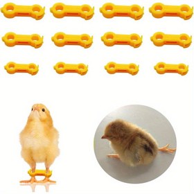 Resim 15 adet PoultryCare Bebek Civciv Splay Bacağı Destek, Elektriksiz Plastik Bacak Bantları, 3 Güne Kadar Yaşlı Civciv, Yumurtlayan Ördekler ve Kuşlar için Spraddle Bacak Onarımı 