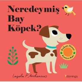 Resim Neredeymiş Bay Köpek? Dokun Hisset Aynaya Bak!- Domingo Yayınevi 