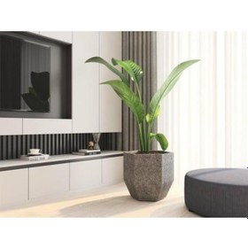 Resim Nuano Consept Lotus Serisi Köşeli Saksı Koyu Gri 30x60 