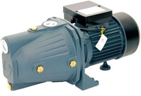 Resim Rainpump SGJW110 Santrıfuj Pompa 