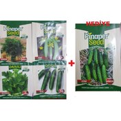 Resim Maydanoz Tohumu Dere Otu Tohumu Acur Tohumu 