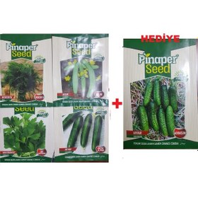 Resim Maydanoz Tohumu Dere Otu Tohumu Acur Tohumu 