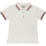 Resim Panço Erkek Bebek Polo Yaka Beyaz Tişört 