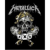 Resim Z zepplin Metallica XXX Büyük Sırt Patch Yama 
