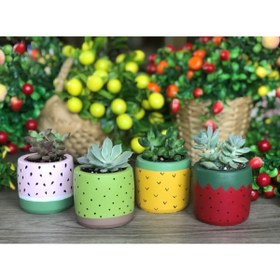 Resim Genel Markalar 4'lü Sukulent Ve Kaktüs Saksı Seti Tutti Frutti Meyveler 