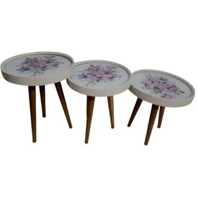 Resim Zigon Sehpa Çember Yaban Gülü Model Kayın Retro Parlak Ceviz 3 Ay 