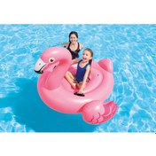 Resim Intex Flamingo 178 Cm Şişme Deniz Yatağı 57558 Çok Renkli 