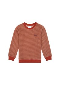 Resim U.s. Polo Assn. Erkek Çocuk Kiremit Sweatshirt 50290787-vr031 Kiremit 