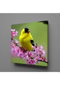 Resim Sarı Kuş Kanvas Tablo 200x200cm 