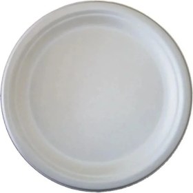 Resim 2 Adet Soyalan Plastik Orta Tabak 10 Lu 