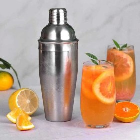 Resim Teknotrust Paslanmaz Çelik Shaker 750 Ml, Sağlam ve Şık Spor Için Ideal 