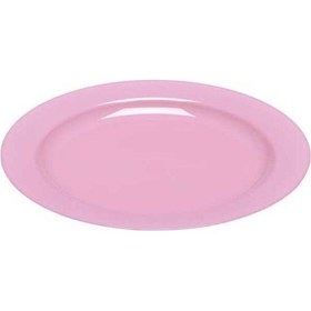 Resim Plastik Pembe Tabak 23 Cm - 10 Adet N11.1007 